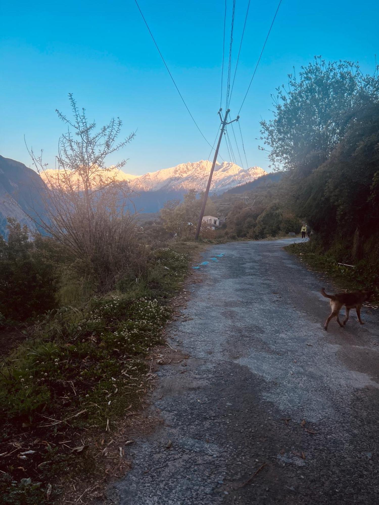 Faraway Cottages, Auli Joshīmath Esterno foto