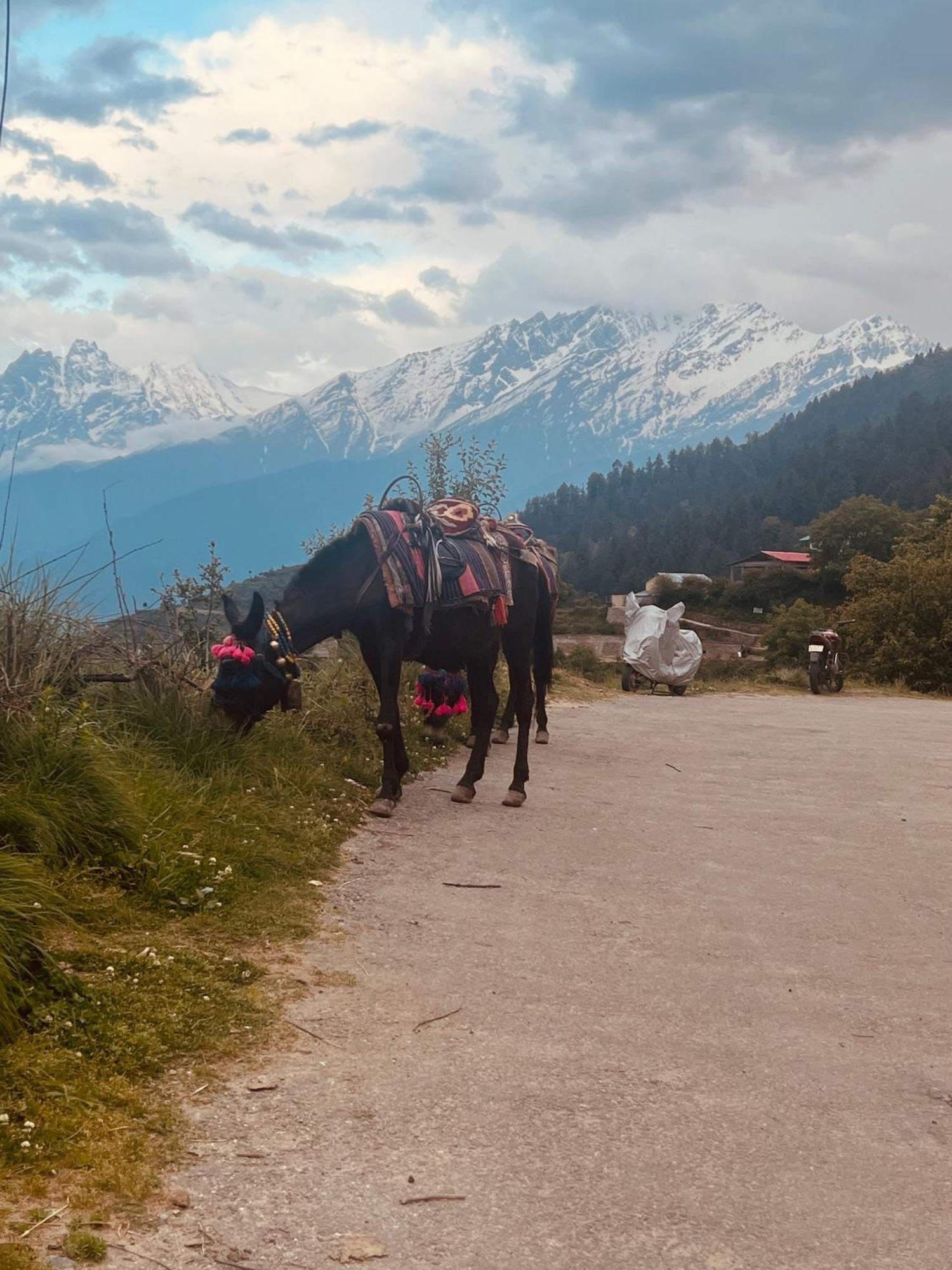 Faraway Cottages, Auli Joshīmath Esterno foto